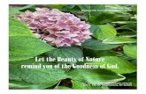 Let the Beauty of Nature remind you of the Goodness of God. · 8/2/2020  · Let the Beauty of Nature remind you of the Goodness of God. August 2, 2020 18th Sunday in Ordinary Time