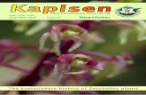 Kapisen - Plant Conservation Action group · 2019-11-14 · This phylogenetic work using ... we provide brief ‘In a Nutshell’ summaries for each of the main articles (p. 3), intended