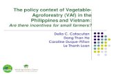 Philippines and Vietnam: Agroforestry (VAf) in the The ... · In the Philippines , RA 7607 provides the Magna Carta for small farmers, declaring that they are to be regarded as equal