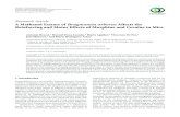 Research Article A Methanol Extract of Brugmansia arborea ...downloads.hindawi.com/journals/ecam/2013/482976.pdf · Brugmansia arborea (L.) Lagerheim is a solanaceous shrub native