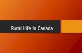 Rural Life in Canada - Mr. Johnston's Social Studies Websiterobertjohnstonghs.weebly.com/.../4.3_issues_facing_rural_population… · •Rural life was the norm in the 19th century