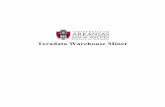 Teradata Warehouse Miner - Sam M. Walton College of Businesswalton.uark.edu/enterprise/downloads/Teradata/... · 50. Accept all the other defaults. Click the expert options just to