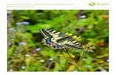 Broads Authority biodiversity enhancements planning guidance · Broads Authority biodiversity enhancements Habitat for homes ... conservation sites in the Broads, but gardens, churchyards,