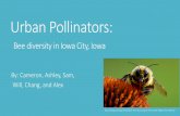 Bee diversity in Iowa City, Iowa - Iowa Initiative for ... · Bumble bees) (Joel, 2015) - Bee house - Tunnels for cavity-nesting bees (30-40%) (Joel, 2015) Development of bee-friendly