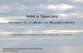 Add a Species · 2016-03-19 · Oysters for Culture on Mussel Leases ... techniques being used for suspension culture. 0 2000 4000 6000 8000 10000 ... available for oyster culture