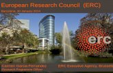 European Research Council - UOC · European Research Council (budget under H2020: € 13 billion) Future and Emerging Technologies Marie Sklodowska Curie Actions Research Infrastructures