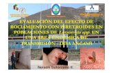 DIRECCION GENERAL DIRECCION REGIONAL DE DE EPIDEMIOLOGIA HOSPITAL DE CARAZ … · 2015-11-11 · Caraz (G2), provincia de Huaylas, Ancash. Sep 2004 – junio 2006 0 50 100 150 200