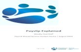 Payslip Explained - PSSC · 4 Table 1 – Online Payslip Explained - Overview # Detail Comment A Payslip Details Date of payment (i.e. 201913 = 29 March 2019) 13th Week of 2019 B