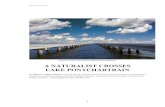 Source: Greater New Orleans Expressway Commission A ... · THE CAUSEWAY BRIDGE The Causeway, operated by the Greater New Orleans Expressway Commission, has been listed since 1969