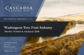 Washington Tree Fruit Industry - Leading Middle Market ... · Long-Term Macro Trends are Favorable for the Washington Tree Fruit Industry A Rising Middle Class Demanding Quality A