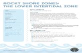 Rocky Shore Zones: the lower intertidal zone · 2017-04-14 · Rocky Shore Zones Table Answer Key Name of Rocky Shore Zone: Lower intertidal zone e n g a g e y o u r s t d e n t s.