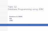 Topic 12: Database Programming using JDBCcontents.kocw.net/KOCW/document/2014/Pusan/chaeheungseok/13.… · JDBC JDBC can be used to write different types of executables, such as: