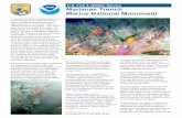 U.S. Fish & Wildlife Service Marianas Trench Marine ......The Mariana Trench is the deepest place on Earth, deeper than the height of Mount Everest above sea level. It is five times