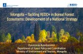 Mongolia Tackling REDD+ in Boreal Forest Ecosystems ... · Oyunsanaa Byambasuren Department of Forest Policy and Coordination Ministry of Environment and Tourism, Mongolia Mongolia