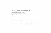 Kommutative Algebra im SS 2018 - Universität Regensburg · Ideals, Varieties, and Algorithms: An Introduction to Computational Algebraic Geometry and Commutative Algebra, Undergraduate