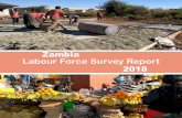 Zambia Labour Force Survey Report - ZamStats - Home · 2019-11-04 · 3.1 Highlights of the 2018 Labour Force Survey Results 10 Chapter 4: Demographic Characteristics 11 4.1 Introduction