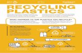 RECYCLING PLASTICS - hobsonsbay.vic.gov.au · saturated with plastic, and plastics pollution permeates our air, sea recycle more. Society has traditionally supported a linear, single-use