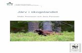 Järv i skogslandet · 2019-11-25 · Järv i skogslandet Malin Aronsson Grimsö Forskningsstation, Institutionen för Ekologi Sveriges Lantbruksuniversitet 730 91 Riddarhyttan Tel: