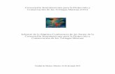 Informe de la Séptima Conferencia de las Partes de la ... · CIT-COP7-2015-Doc.4 6 INFORME COP7 CIT Reunión: Séptima Conferencia de las Partes de la Convención Interamericana