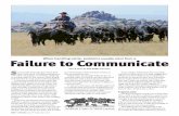 Failure to Communicate - Angus Journal Acclim 09_13 AJ.pdf · Failure to Communicate Story & photo by Troy Smith, field editor. September 2013 n ANGUSJournal n 265 Vineyard’s remote