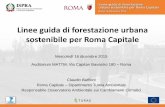 Linee guida di forestazione urbana sostenibile di …...Linee guida di forestazione urbana sostenibile per Roma Capitale Mercoledì 16 dicembre 2015 Auditorium MATTM, Via Capitan Bavastro