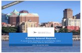 Coney Island Report0cbc10c7f46235cbb800-f7506d722c0730dbfe12c26c4a5abf6d.r1.cf · PDF file Coney Island Report Coney Island 4TH QUARTER 2015 in Coney Island, Brooklyn 4TH QUARTER