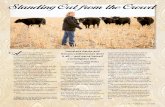 Standing Out from the Crowd - Angus Journal · Standing Out from the Crowd nne Lampe goes by many titles: mother, daughter, wife, cattlewoman, manager and secretary for the Kansas