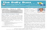 The Bally Buzz - Home - Balgownie Public School€¦ · Playground Consultation. In 2012, the parents and community led consultation for improving our playground. The result was a