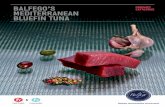 BALFEGO’S CATALOGUE MEDITERRANEAN BLUEFIN TUNA · the mediterranean bluefin tuna is one of the gems of universal cuisine, on par with iberian acorn-fed pork ham, oysters, caviar