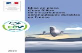 Mise en place d’une filière de biocarburants aéronautiques ......Mise en place d’une filière de biocarburants aéronautiques durables en France Page 9 sur 74 L’ECV est un