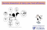 Genetic dissection of dairy cow feed efficiencyTake home messages feed efficiency is an economically relevant trait residual feed intake is a heritable trait (ℎ. 2 ≈15%) genetic