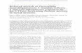Reduced growth of Drosophila neurofibromatosis 1 mutants ...genesdev.cshlp.org/content/20/23/3311.full.pdf · Neurofibromatosis type 1 (NF1, OMIM 162200) is a com-mon genetic disorder,