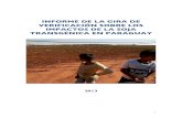 Informe DDHH Paraguay - RALLT DDHH paraguay(1).pdf · Paraguay ocupa el 6º lugar en producción de soja y el 4º como exportador a nivel mundial. Según datos de la Dirección de