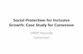 Social Protection and Inclusive Growth: Case Study for ...Cameroon).pdf · in Cameroon: the ILO Social Protection floor work •5. Financing and Fiscal Sustainability •6. Conclusion