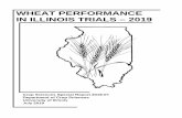 WHEAT PERFORMANCE IN ILLINOIS TRIALS – 2019/2019 Wheat Booklet.pdf · PDF file 2019-12-02 · WHEAT PERFORMANCE IN ILLINOIS TRIALS - 2019 Crop Sciences Special Report 2019-01, July