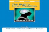 The Brain’s Inner Workingsipsi.uprrp.edu/opp/pdf/materiales/brain-working-teachers-manual.pdf · The Brain’s Inner Workings From the National Institute of Mental Health A GUIDE