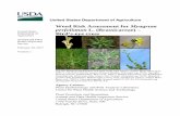 Weed Risk Assessment for Myagrum perfoliatum L ......Oct 21, 2016  · Weed Risk Assessment for Myagrum perfoliatum Ver. 1 February 28, 2017 4 1. Myagrum perfoliatum analysis Establishment/Spread