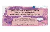 A Collaborative Project to Produce Pathologist …...2019/05/08  · A Collaborative Project to Produce Pathologist Annotations to Evaluate Viewers and Algorithms Brandon D. Gallas,