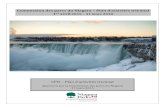 Commission des parcs du Niagara – Plan d’activités ... · Commission des parcs du Niagara – Plan d’activités triennal 1 er avril ... Le budget de transition de 17 mois comprend