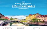 Global HR Trends SummitSummit Global HR Trends 7th JUNE • 2018 LJUBLJANA Dear HR Colleagues, It is an honor to invite you to join us at the ﬁrst edition of the most innovative