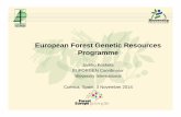 European Forest Genetic Resources Programme · Strasbourg Resolution 2 (Conservation of forest genetic resources) of the 1st FOREST EUROPE Conference (1990) called for “a functional
