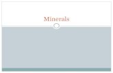 MineralsOER.pdf · Humans get minerals from plant and animal foods Plants contain minerals that we eat and incorporate into our body. Plants we eat have varying amounts of minerals