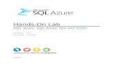 SQL Azure: Tips and Tricks - Johns Hopkins Universityskydev.pha.jhu.edu/WindowsAzurePlatformKit/Labs/Sql… · Web viewTask 3 – Calculate SQL Azure Database Costs46 Summary51 Overview
