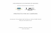 PROYECTO FIN DE CARRERA - UAMarantxa.ii.uam.es/~jms/pfcsteleco/lecturas/20150716Eugen... · 2015-07-03 · UNIVERSIDAD AUTONOMA DE MADRID ESCUELA POLITECNICA SUPERIOR PROYECTO FIN
