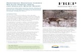 MONITORING MOUNTAIN CARIBOU WILDLIFE HABITAT ......3 METHODS This monitoring study determined mountain caribou occupancy of designated areas and protected areas, by buffering (1-km