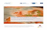 Energy Efficiency Projects in Europe - PF4EE · 2019-06-05 · Energy Efficiency Projects in Europe Examples of energy efficiency projects that could be financed through the PF4EE