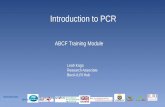 Introduction to PCR - CGIARhpc.ilri.cgiar.org/beca/bioinfo/docs/Introduction to PCR_Leah.pdf · PCR Basics 2 •PCR cycling components •Equipment • Laminar flow cabinet/clean