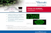 Fuse-It-mRNA · 60500 Fuse-It-mRNA, infrared fluorescent: 2 x 150 µl solution 60501 Fuse-It-mRNA, infrared fluorescent: 2 x 300 µl solution For additional Fuse-It products, please