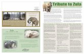 to Chehaw Wild Animal Park in Albany, GA with Tange, also ... · Zula was born in Africa in 1975. (stock photo) An orphaned Zula was shipped to the U.S. In 1978, Zula was sent to