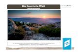 Der Bayerische Wald - rp.baden-wuerttemberg.de · Der Bayerische Wald Entwicklungsstrategien Dr. Michael Braun, Tourismusverband Ostbayern e.V. am 08. November 2016 Herbst-Fachtagung